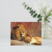 Grote katten - 6 briefkaart (Staand voorkant)