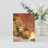 Grote katten - 6 briefkaart (Staand voorkant)