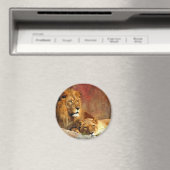 Grote katten - 6 magneet (Insitu (Vaatwasser))