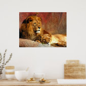 Grote katten - 6 poster (Keuken)