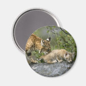 Grote Katten - 9 Magneet (Voorkant / Achterkant)