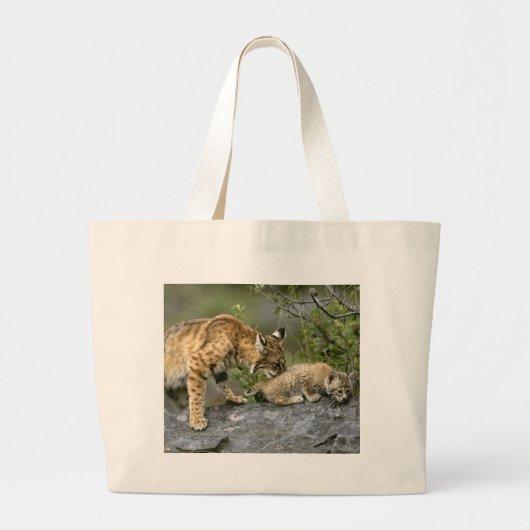 Grote Katten - 9 Tote Bag (Voorkant)