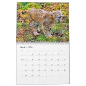 GROTE KATTEN! Agenda Kalender (Mar 2026)