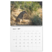 GROTE KATTEN EN HUN KALENDER VAN BABYS (Mar 2027)