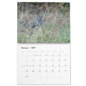 GROTE KATTEN EN HUN KALENDER VAN BABYS (Feb 2027)