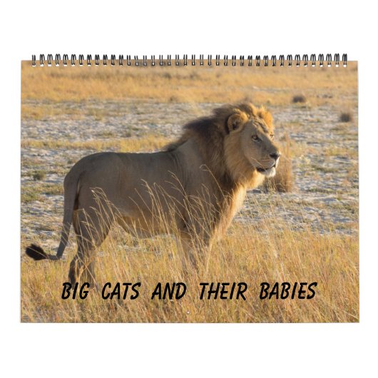 GROTE KATTEN EN HUN KALENDER VAN BABYS (Hoes)