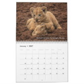 Grote katten in Afrika: Leeuwen, luipaarden 2020 Kalender (Jan 2027)