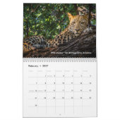 Grote katten in Afrika: Leeuwen, luipaarden 2020 Kalender (Feb 2027)