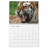 Grote katten kalender (Jan 2026)