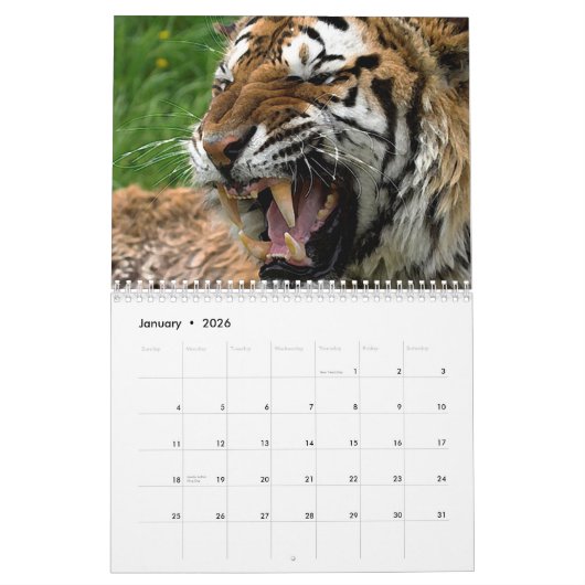 Grote katten kalender (Jan 2026)