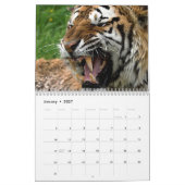 Grote katten kalender (Jan 2027)
