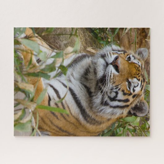 Grote katten. legpuzzel (Horizontaal)