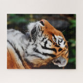 Grote katten. legpuzzel (Horizontaal)