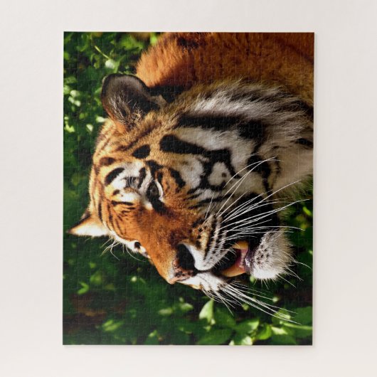 Grote katten. legpuzzel (Verticaal)