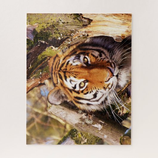 Grote katten. legpuzzel (Verticaal)