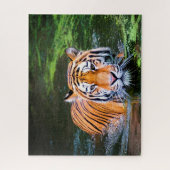 Grote katten. legpuzzel (Verticaal)