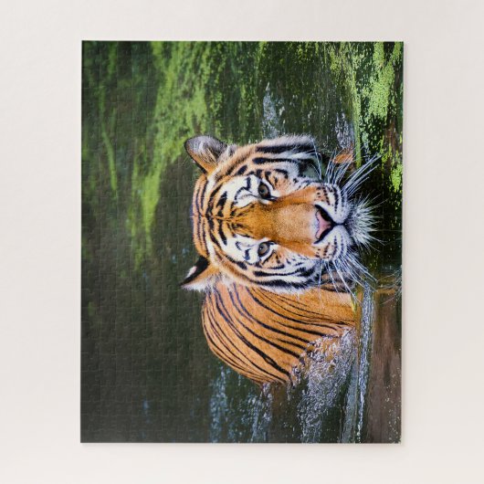 Grote katten. legpuzzel (Verticaal)