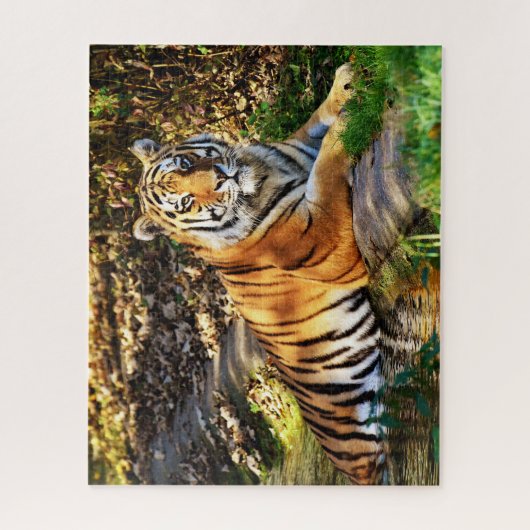 Grote katten. legpuzzel (Verticaal)