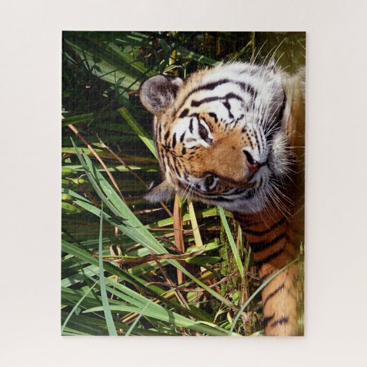 Grote katten. legpuzzel (Verticaal)