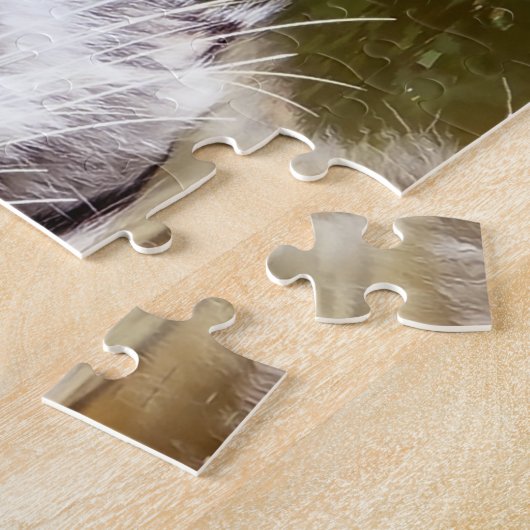 Grote katten. legpuzzel (Zijkant)