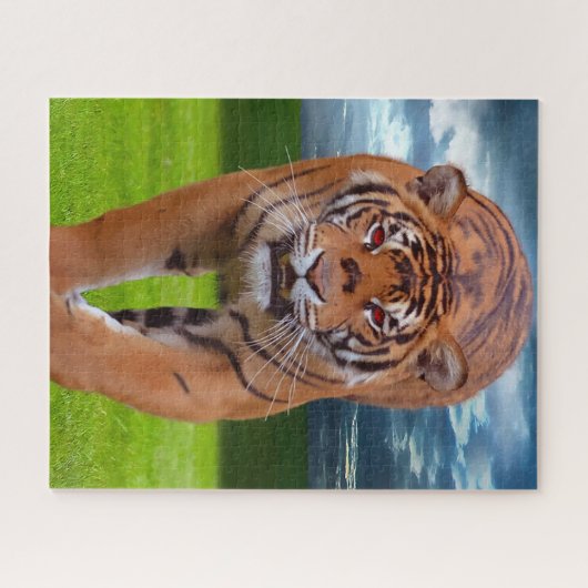 Grote katten. legpuzzel (Horizontaal)