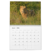 Grote katten. Leon, Leopard, Cheetah, Jaguar Calen Kalender (Mar 2026)