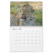 Grote katten. Leon, Leopard, Cheetah, Jaguar Calen Kalender (Feb 2026)