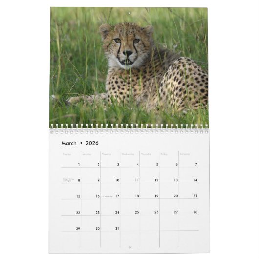 Grote Katten van de Wereld Kalender (Mar 2026)