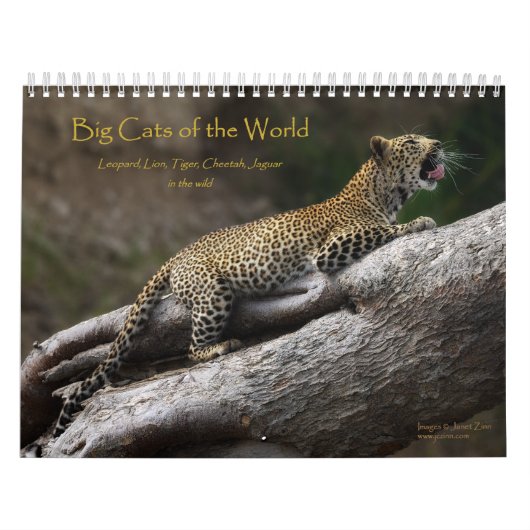 Grote Katten van de Wereld Kalender (Hoes)