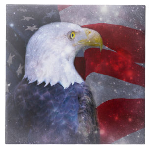 Grote keramische (6 x 6 inch) keramische foto's tegeltje