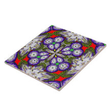 Grote keramische (6 x 6 inch) keramische foto's