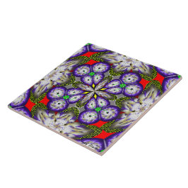 Grote keramische (6 x 6 inch) keramische foto's tegeltje