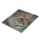 Grote keramische (6 x 6 inch) keramische foto's tegeltje (Zijkant)