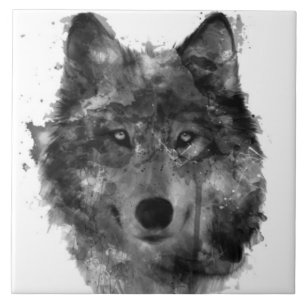 Grote keramische (6 x 6 inch) keramische foto's tegeltje