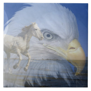 Grote keramische (6 x 6 inch) keramische foto's tegeltje