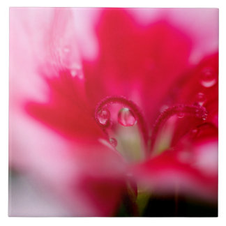 Grote keramische foto's "Gevlekt" Tegeltje