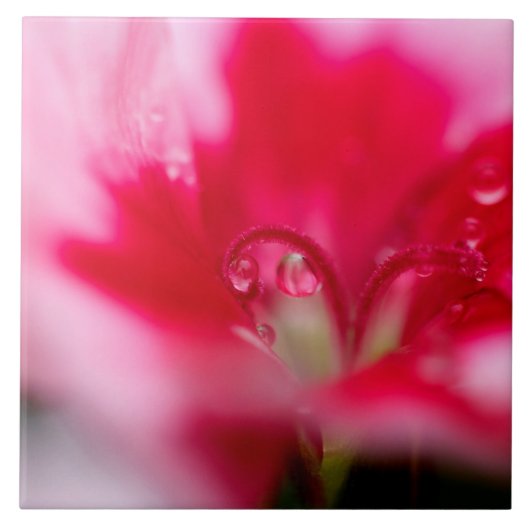 Grote keramische foto's "Gevlekt" Tegeltje (Voorkant)