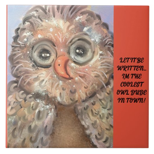 Grote keramische Tegel Grappig, grillig, Schattige Tegeltje (Voorkant)