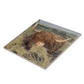 Grote Keramische Tegel Grappige Schotse Hoogland K Tegeltje (Zijkant)