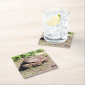 Grote kerel kartonnen onderzetters (Insitu)