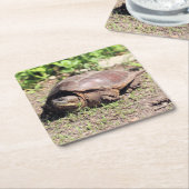 Grote kerel kartonnen onderzetters (Schuin)