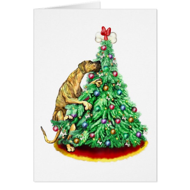 Grote kerstdoelen voor Dane, Brindle UC (Voorkant)