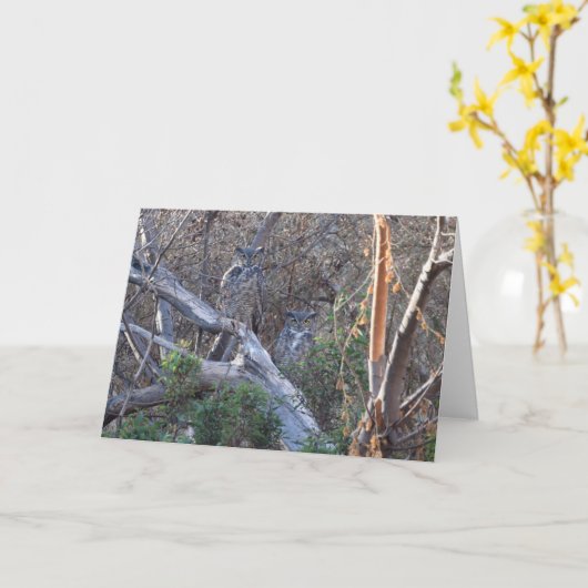 Grote kippen kaart (Gele Bloem)