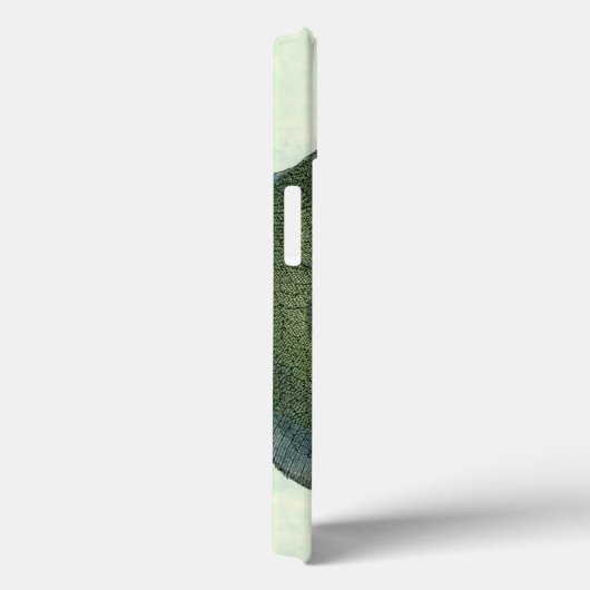 Grote kleurige vis Case-Mate iPhone case (Achterkant / Rechts)