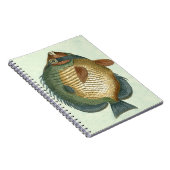 Grote Kleurrijke Vis Notitieboek (Rechterzijde)