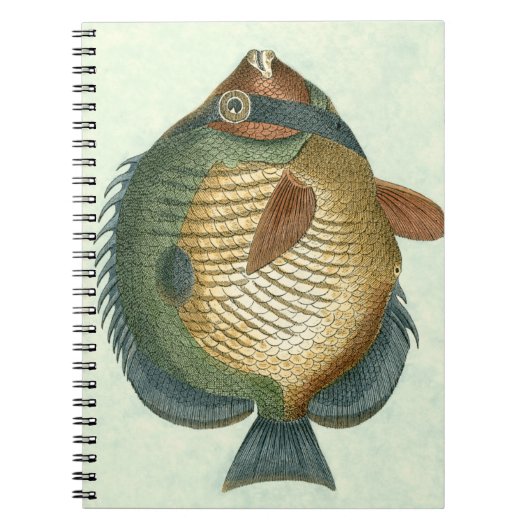 Grote Kleurrijke Vis Notitieboek (Voorkant)