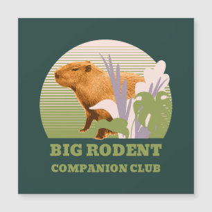 Grote Knaagdier Vrienden Club Capybara