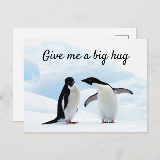 Grote knuffel Penguin op ijsfoto met tekst Briefkaart (Voorkant / Achterkant)