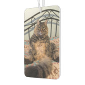 Grote knuffelbare kat auto luchtverfrisser (Links)