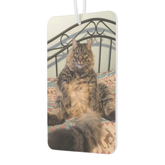 Grote knuffelbare kat auto luchtverfrisser (Links)